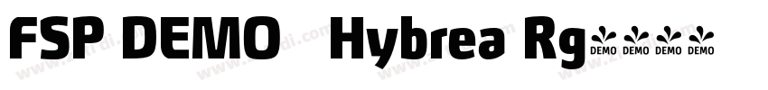 FSP DEMO   Hybrea Rg字体转换
